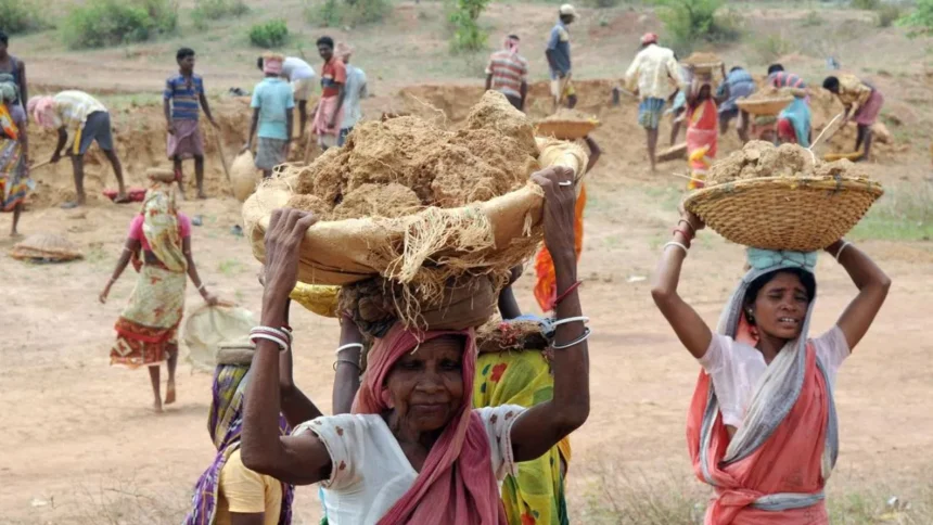 ১০০ দিনের কাজ ফের চালু পশ্চিমবঙ্গে