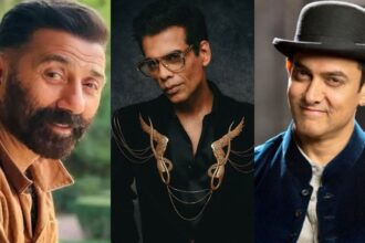আমির-সুনী দেওল করণ জোহরের অহংকারকে চূর্ণ করেছিলেন! মুখটি সাদা ছিল