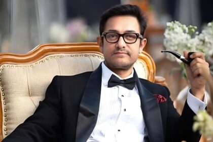 এই দুই বিশেষ মানুষ কারা? যারা আমির খানের 'তারকারা জামীন পার' তে ক্যামিও করতে যাচ্ছেন