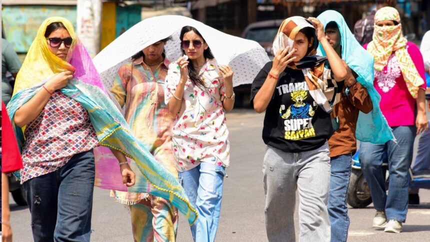 হিট অ্যালার্ম: মারাত্মক উষ্ণায়নের প্রবণতা, তাপ-মুখী বিদ্যুৎ এবং ভারতে খারাপ আবহাওয়ার কারণে 2 হাজার মৃত্যু 2024 সালে