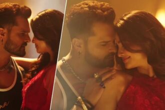 ভোজপুরী গান: সালমানের এই নায়িকাকে কেশারি লাল যাদবের সাথে দেখা গিয়েছিল, গানটি গানটি তৈরি করেছে