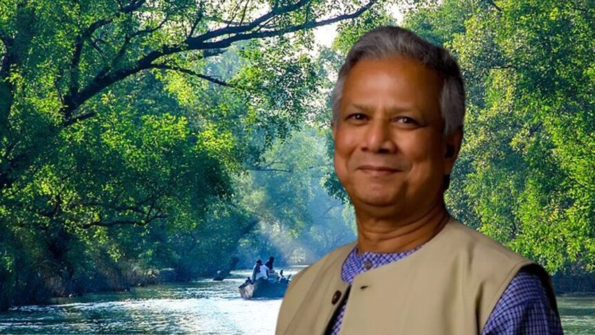 বাংলাদেশি 3 মাসের জন্য সুন্দরবনে যেতে সক্ষম হবেন না, জানেন কেন সরকার সরকার নিষিদ্ধ?