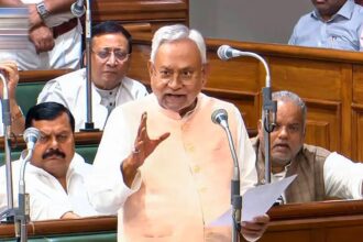 গান্ধীর গ্রাম স্বরাজের স্বপ্ন পূরণ হবে ... নীতীশ কুমার সরকারের নতুন উদ্যোগ