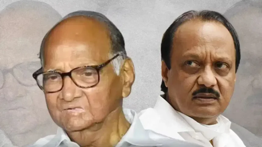 এনসিপি, চাচা এবং ভাগ্নে ফাউন্ডেশন দিবস 10 কিলোমিটার দূরত্বে উভয় প্রোগ্রাম পৃথক শক্তি সম্পাদন করছে