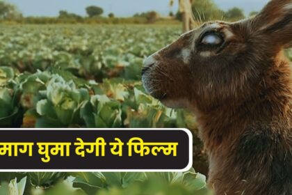 'হিরো অন্ধ নাকি ...?' শ্রী রাম রাঘাওয়ানের এই ছবিটি কাটাপ্পা-বাহুবলীর চেয়ে বড় প্রশ্নে পরিণত হয়েছিল, কোটি টাকা অভিযান চালানো হয়েছিল